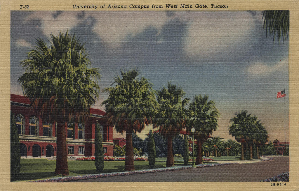 university of arizona campus. University of Arizona Campus