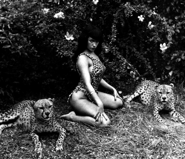The famous Jungle Bettie Bunny Yeager shoot Bettie Page made the leopard 