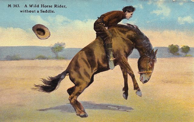 A Wild Horse Rider, without a Saddle. This rider coming from Texas 
