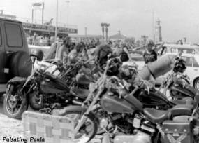 PULSATING PAULA DAYTONA BEACH BIKE WEEK MOTORCYCLE HARLEY MC